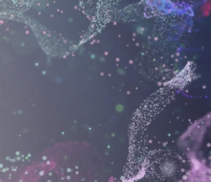 Demandez l’avis d’un-e spécialiste!