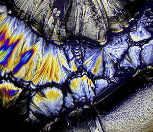 Photographier la matière