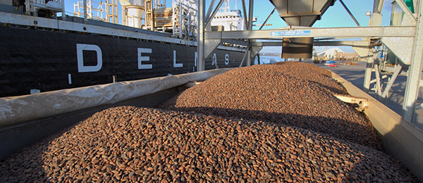 Côte d’Ivoire: au cœur d’une filière de cacao en crise