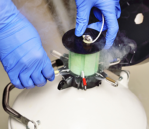 Préserver sa fertilité: les enjeux de la congélation des ovocytes