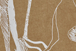 Parutions